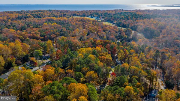 a view of an outdoor space