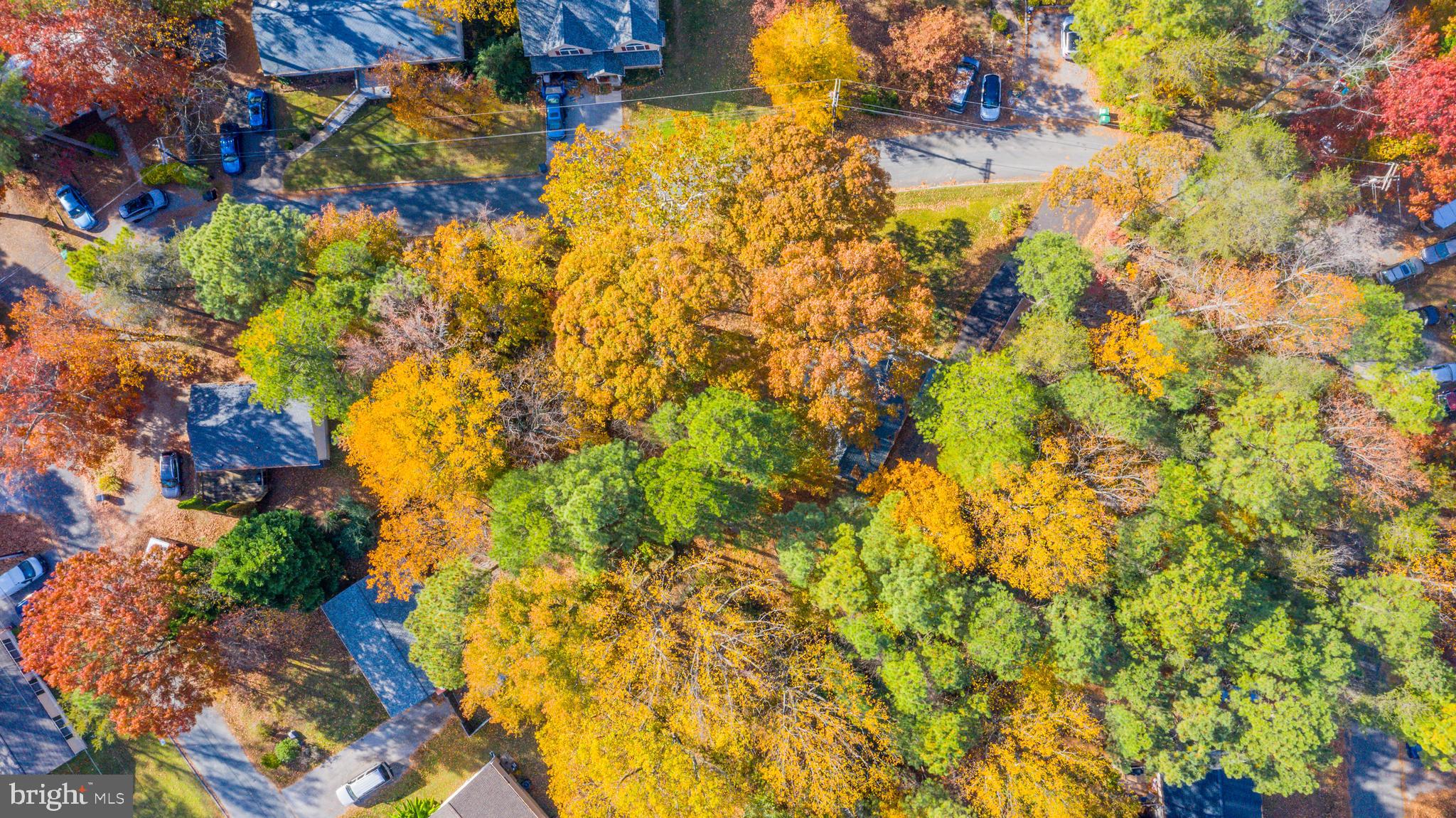 11675 Cowpoke Circle Lusby, MD 20657 - Photo 2 of 9 a view of a tree