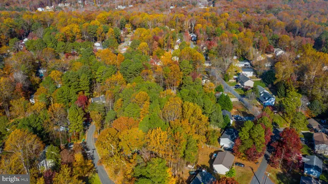 a view of a bunch of trees