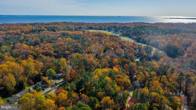 an aerial view of residential houses with outdoor space and trees