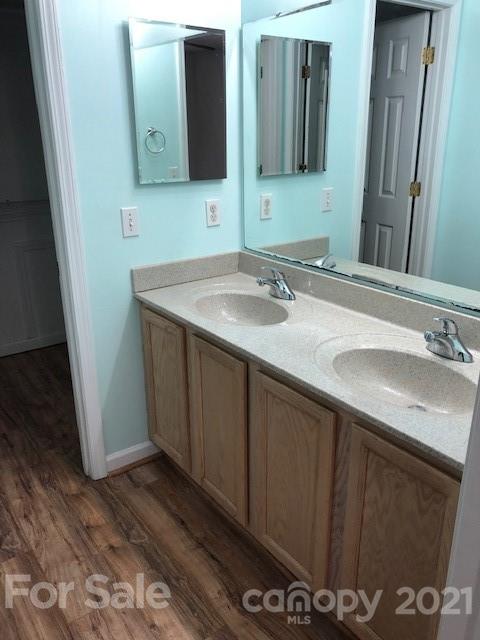 290 Sutton Spring Road York, SC 29745 - Photo 5 of 15 a bathroom with a sink and a mirror