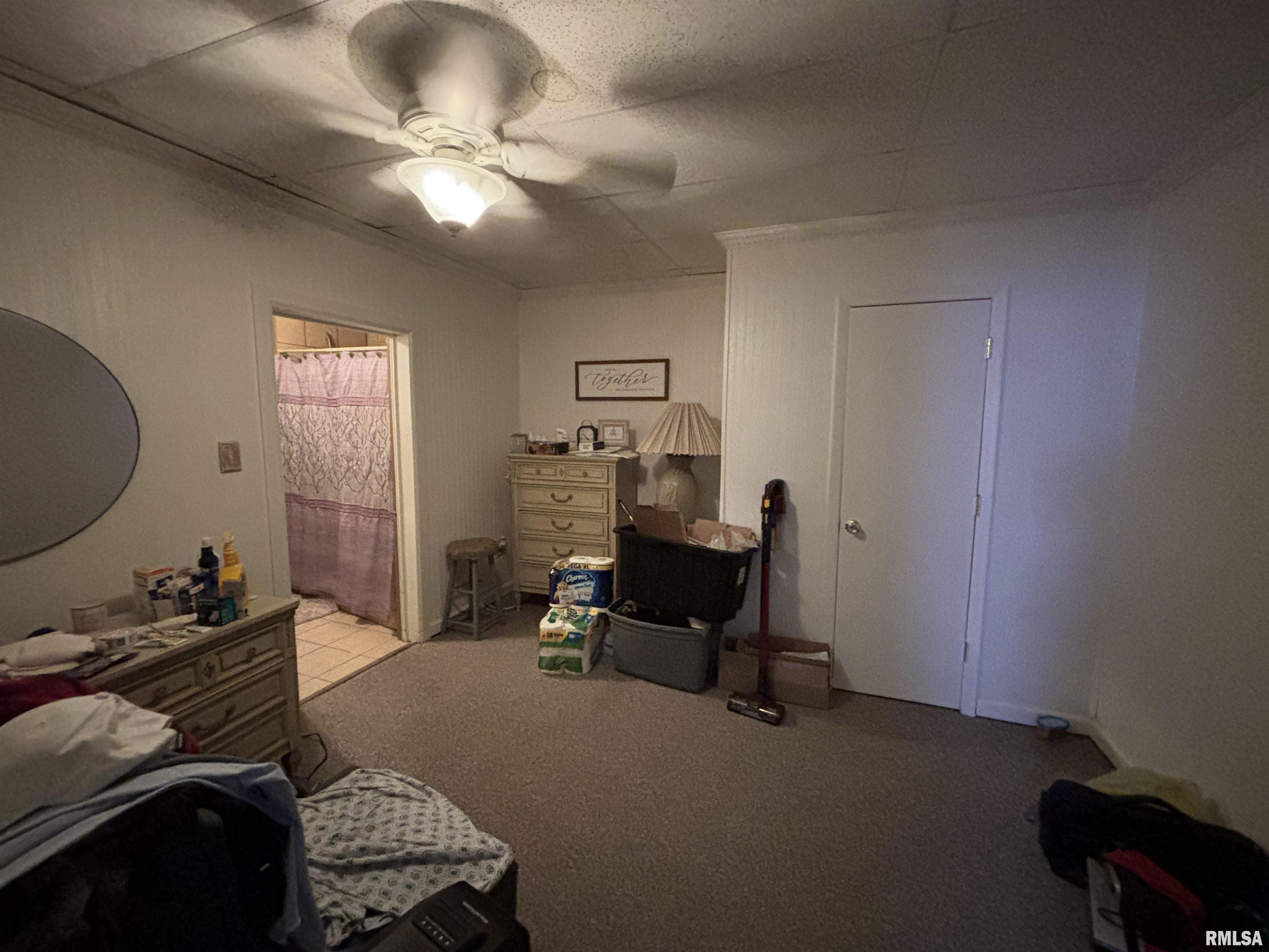 203 East 4th Street Brookport, IL 62910 - Photo 9 of 15