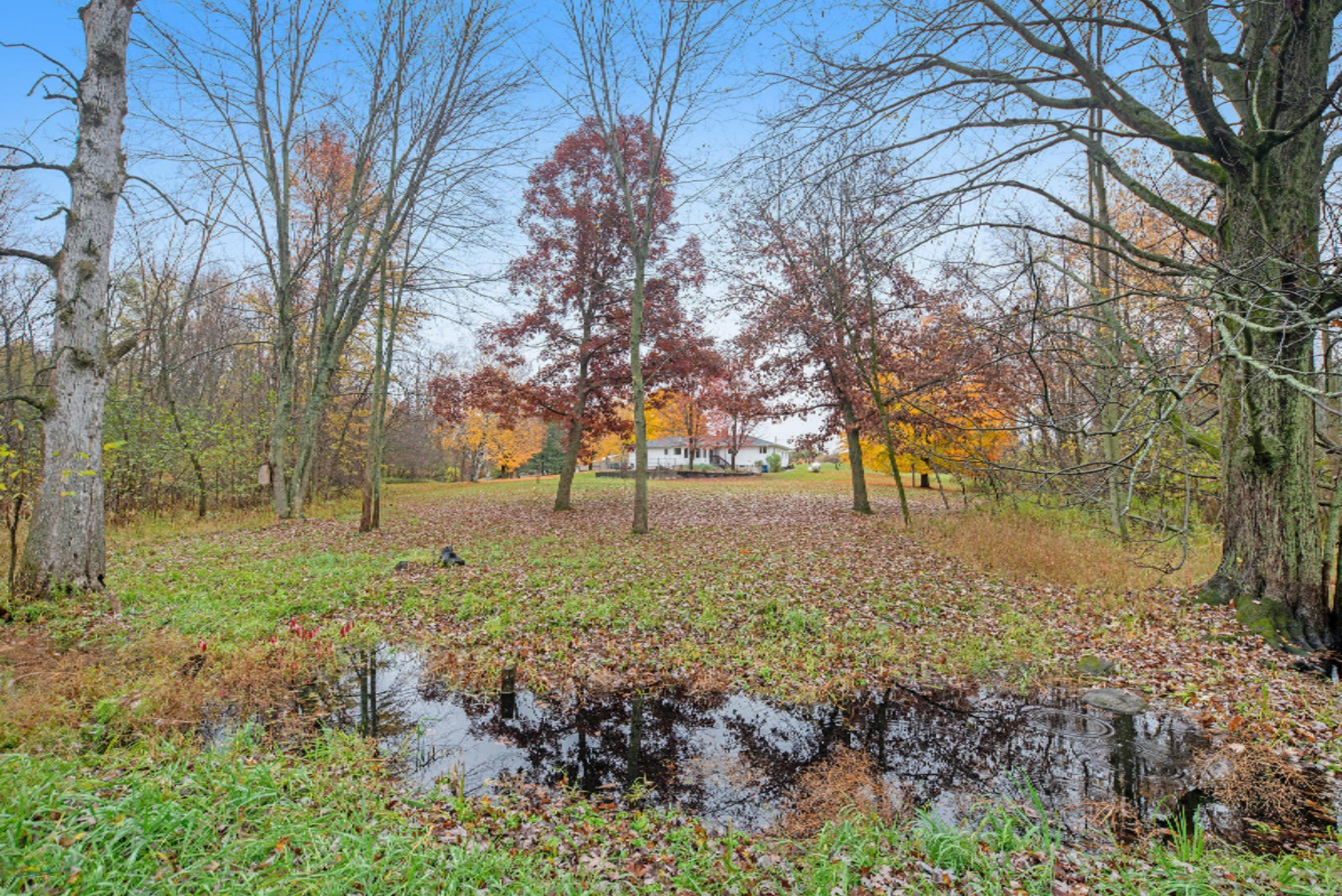 8166 West Stanton Road Stanton, MI 48888 - Photo 34 of 51 8166WStantonRd-41