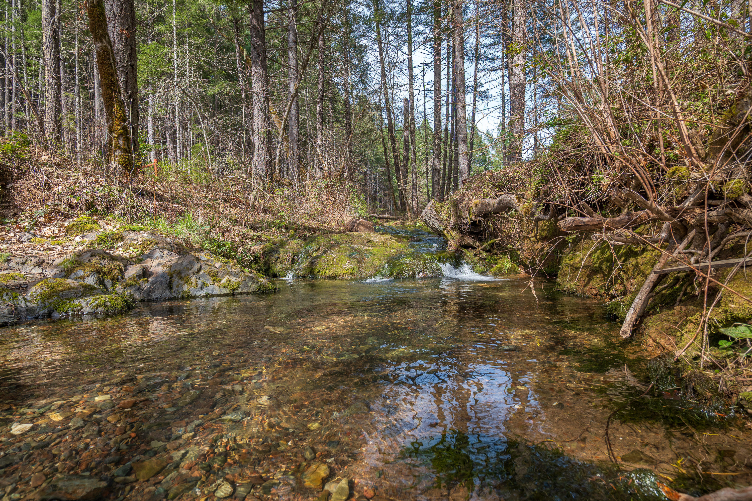 322 Round Prairie Road Wilderville, OR 97543 - Photo 43 of 55 creek running through front of property