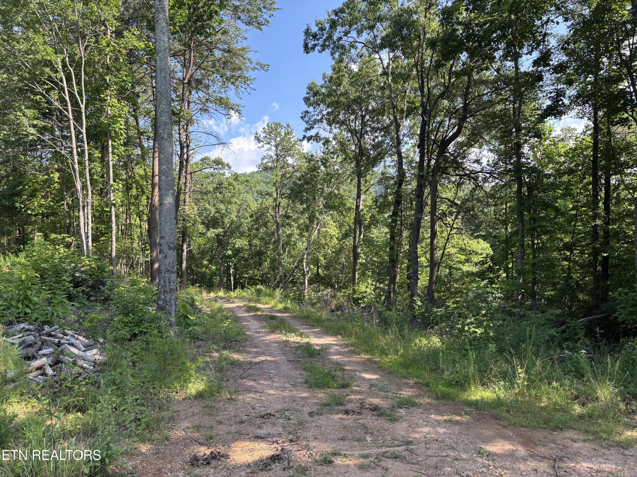 803 Chestnut Mountain Road Reliance, TN 37369 - Photo 3 of 3