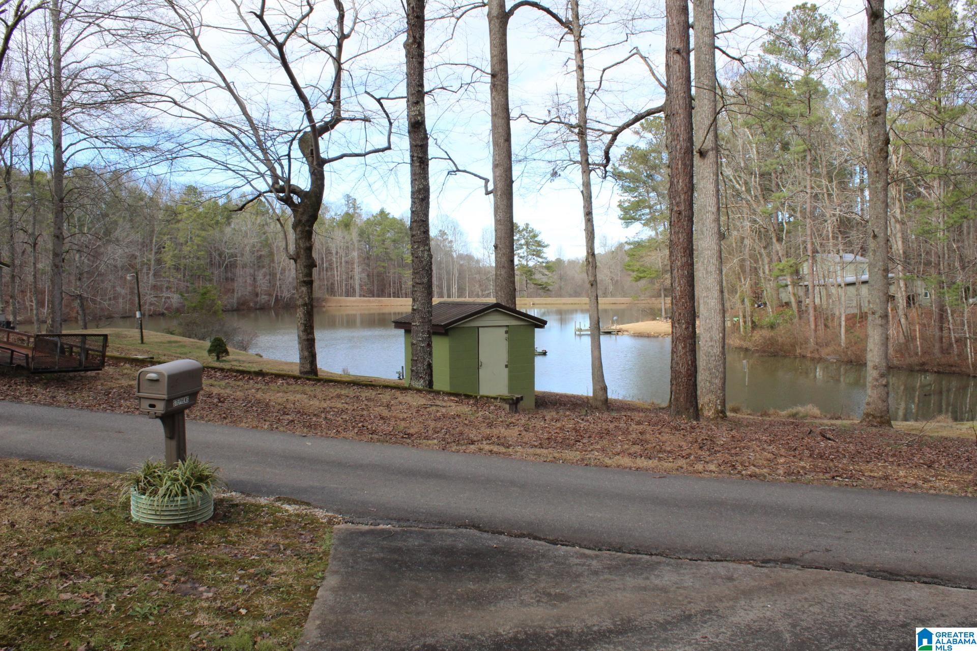 253 County Road 921 Delta, AL 36258 - Photo 7 of 36