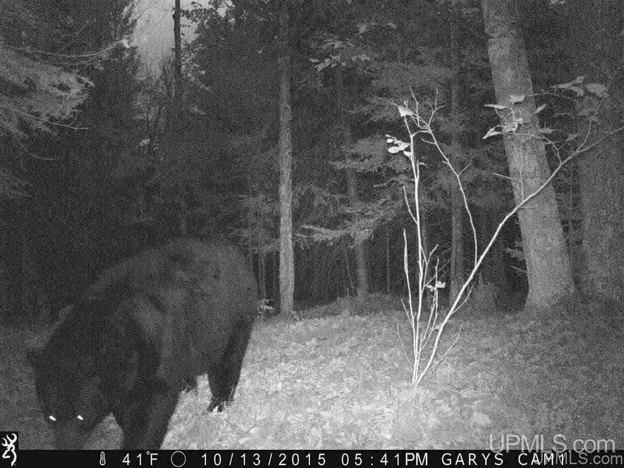 Co Road Daggett, MI 49887 - Photo 2 of 12