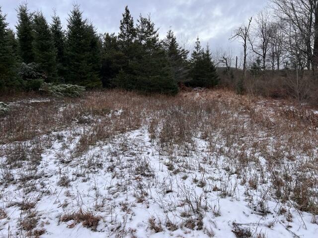 West Dotski Road Levering, MI 49755 - Photo 54 of 61 Gallery Image 54
