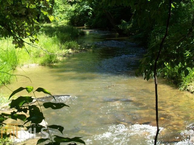 0 Clear Creek Road, Unit 4 Ellijay, GA 30536 - Photo 1 of 1