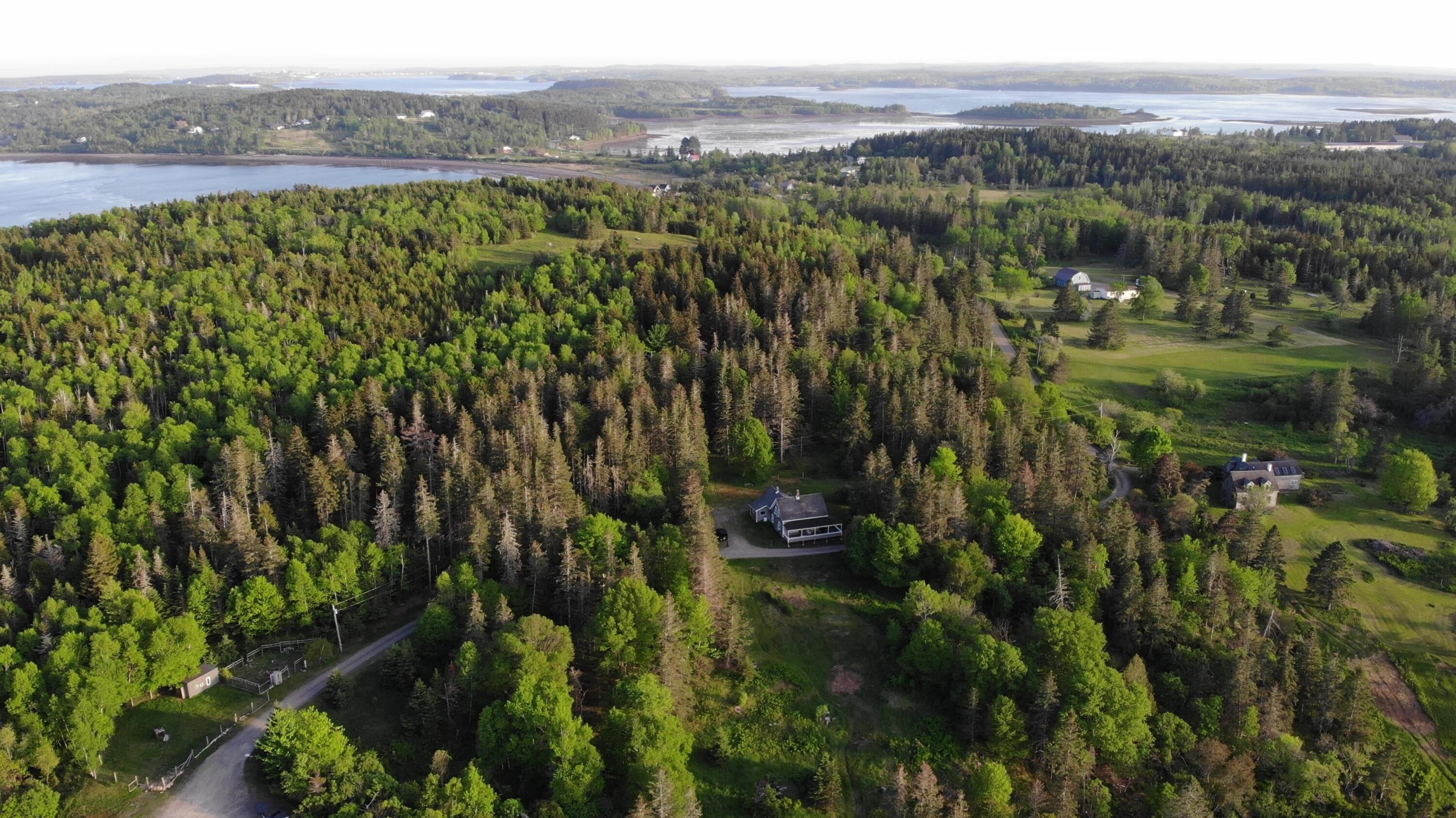 45 Kendall Head Road Eastport, ME 04631 - Photo 110 of 117 DJI_0146 - frame at 0m53s
