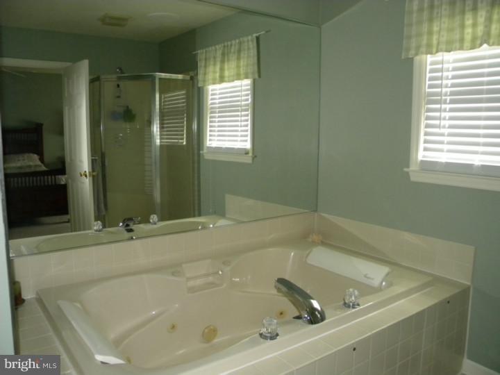 188 South View Road Fleetwood, PA 19522 - Photo 14 of 25 Master Bathroom