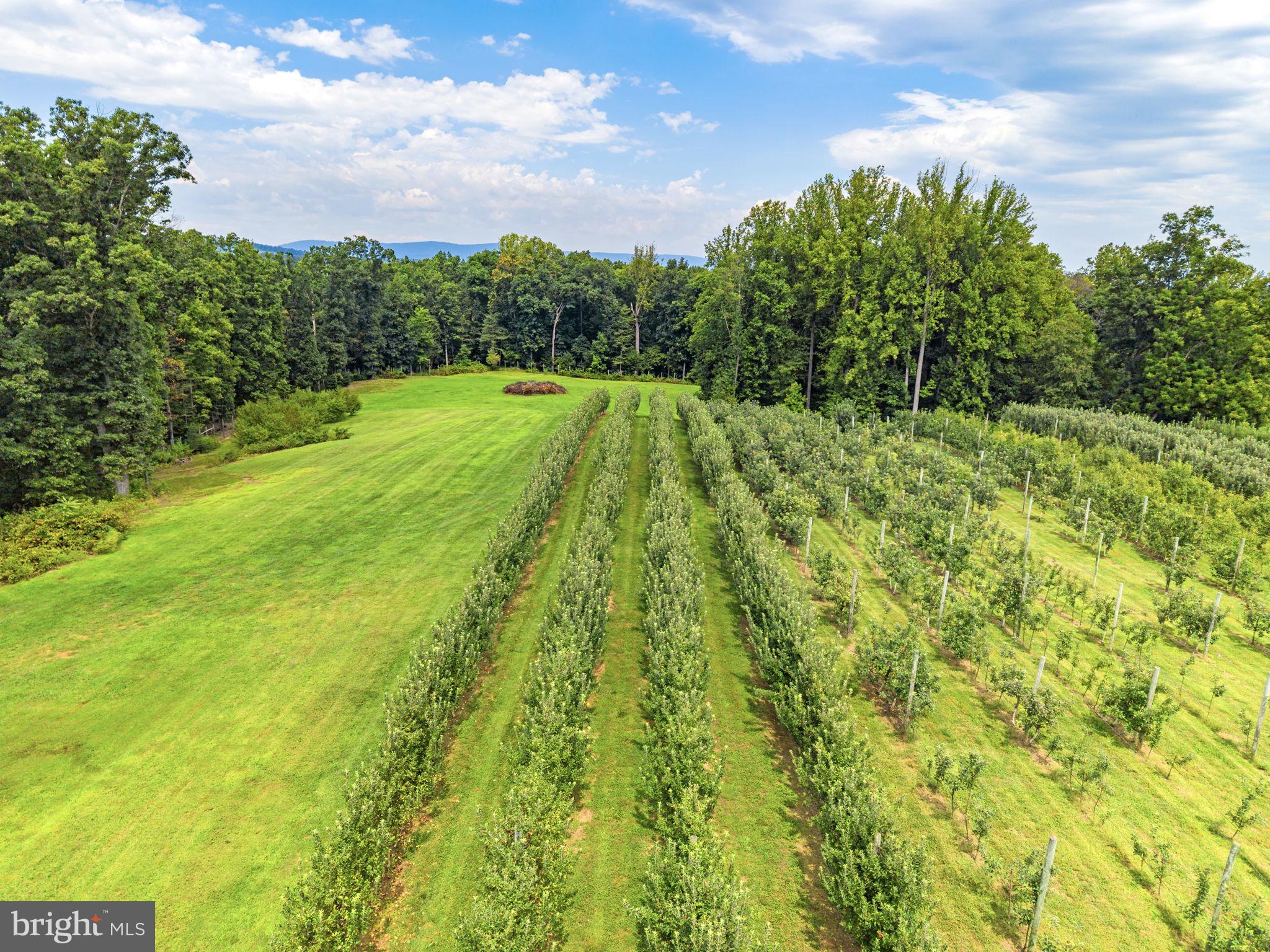 9470 Maidstone Road Delaplane, VA 20144 - Photo 70 of 80 Gallery Image 70