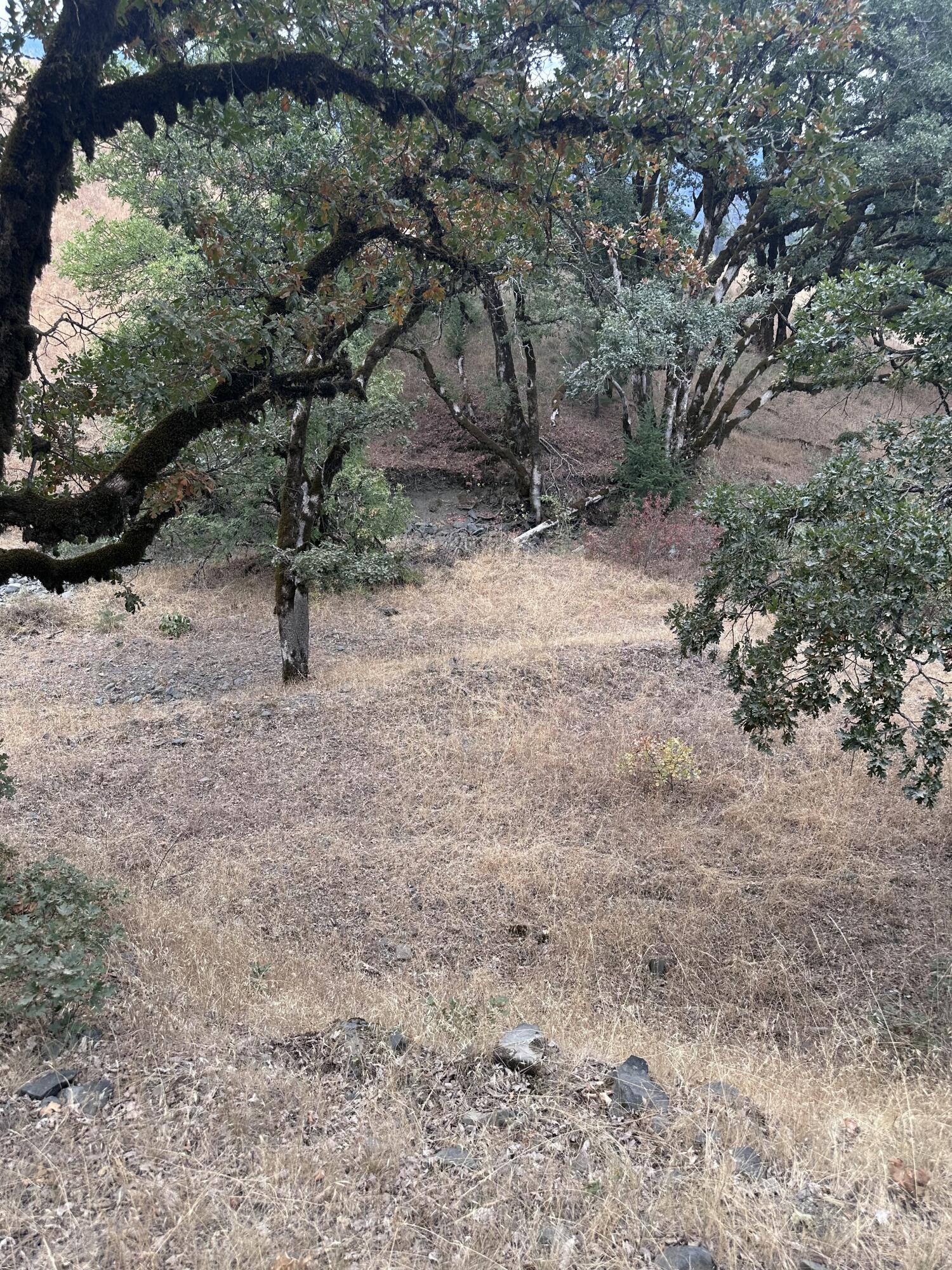 0 River Road Miranda, CA 95553 - Photo 29 of 31
