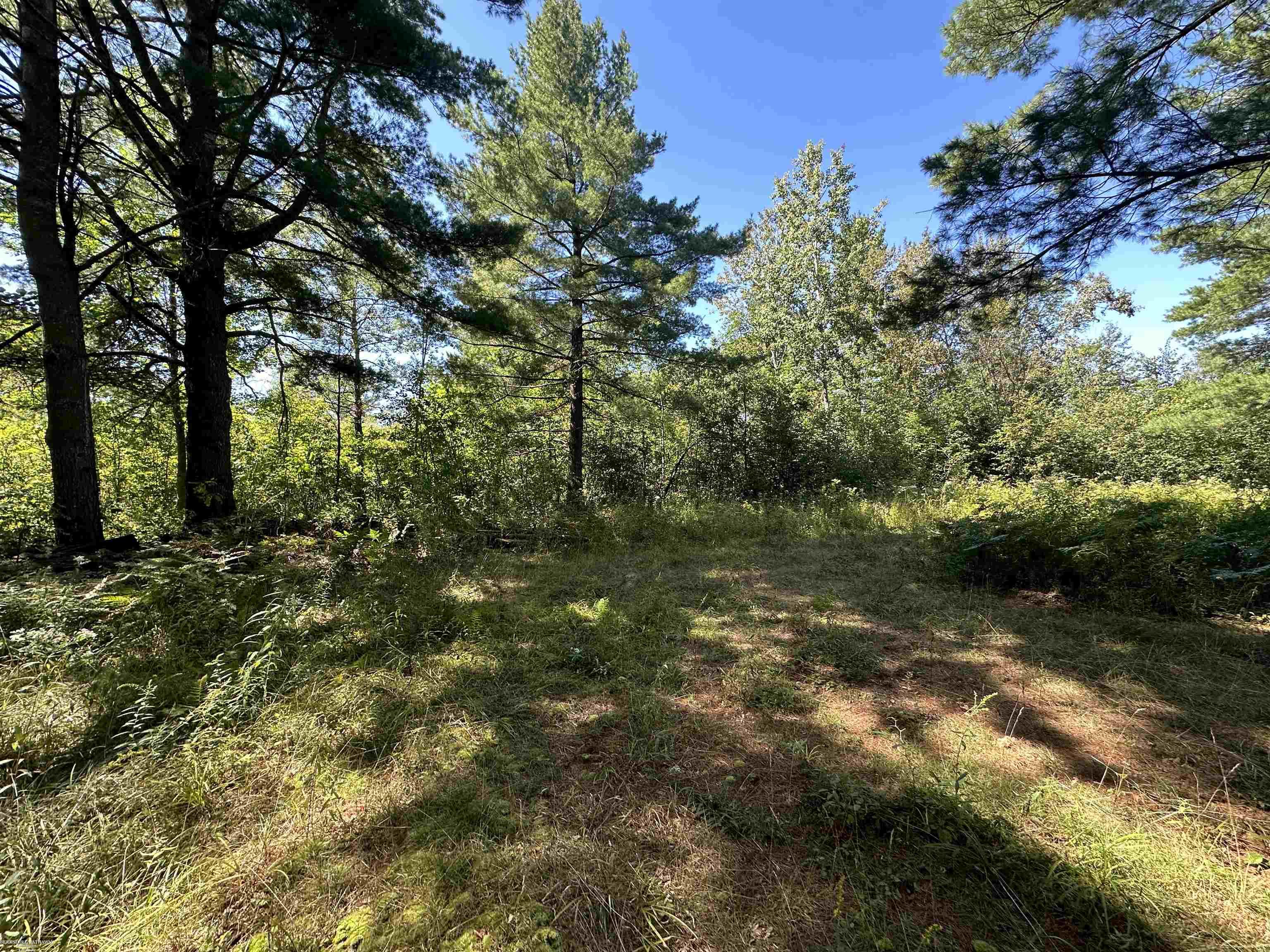 0 Long Lake Road Hale, MI 48739 - Photo 17 of 20