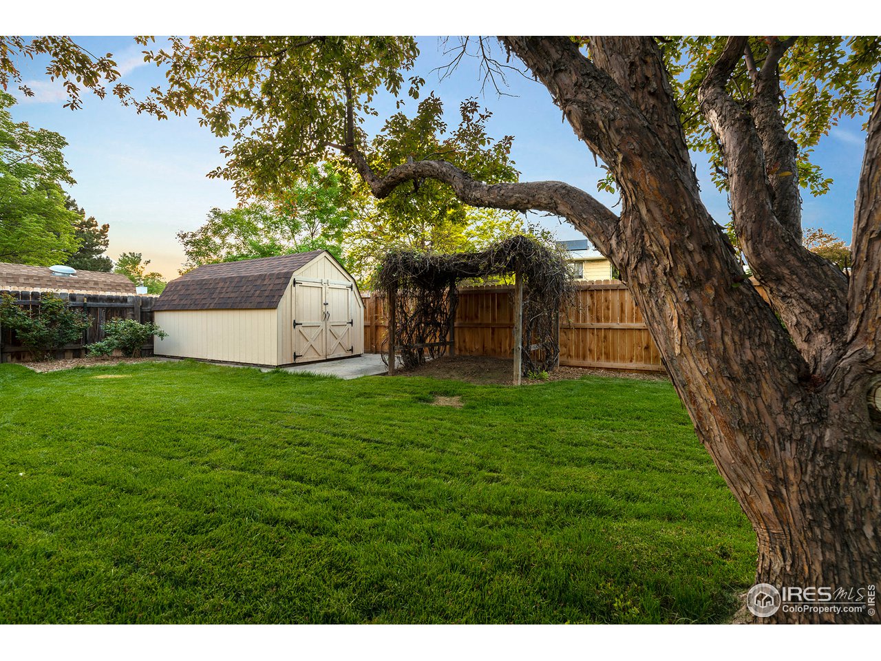 526 Del Clair Road Fort Collins, CO 80525 - Photo 18 of 40 Beautiful!!