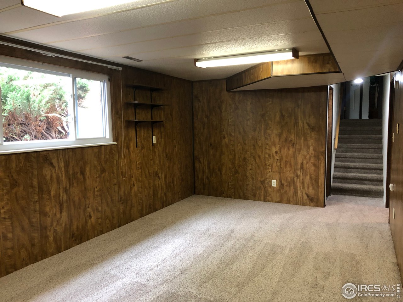 526 Del Clair Road Fort Collins, CO 80525 - Photo 39 of 40 Basement with NEW carpet
