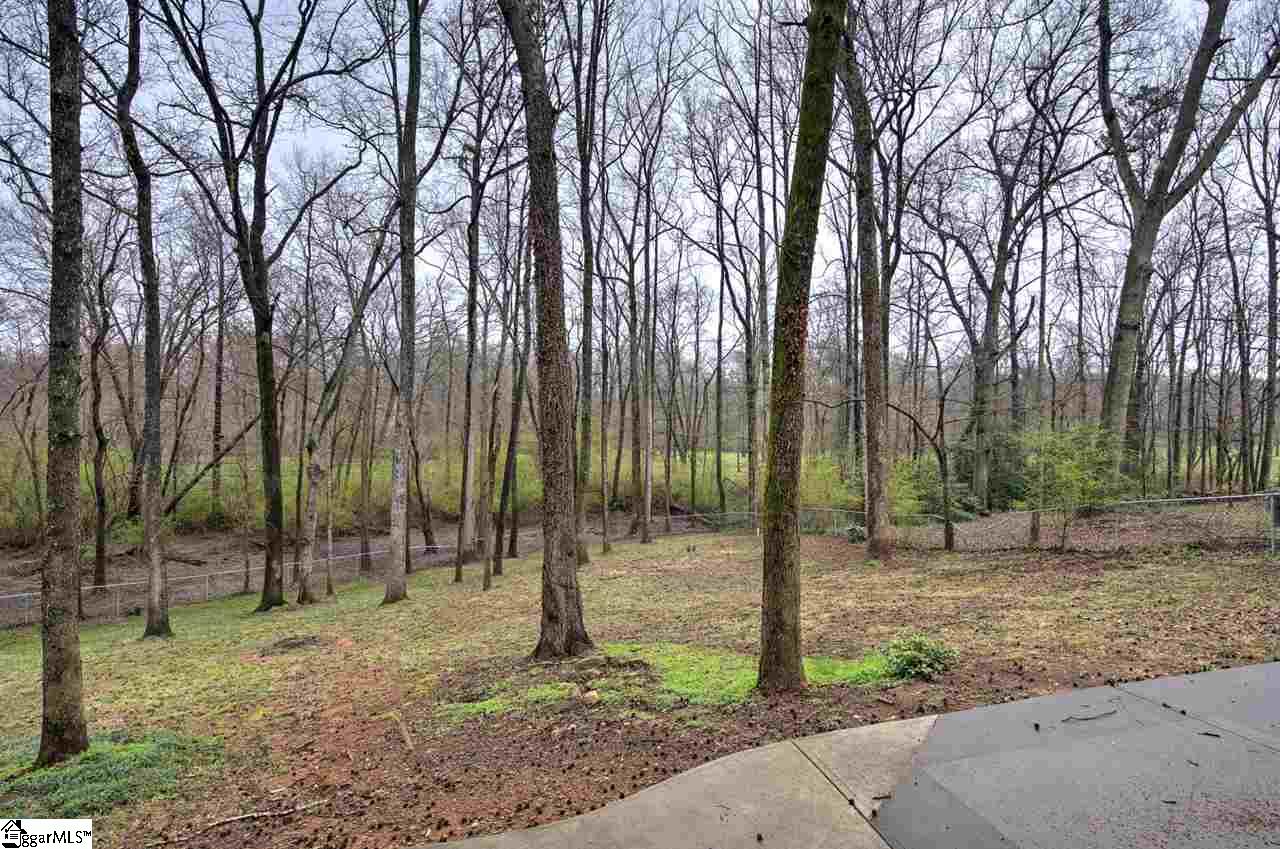 114 Shetland Way Greer, SC 29650 - Photo 33 of 36 Gallery Image 33