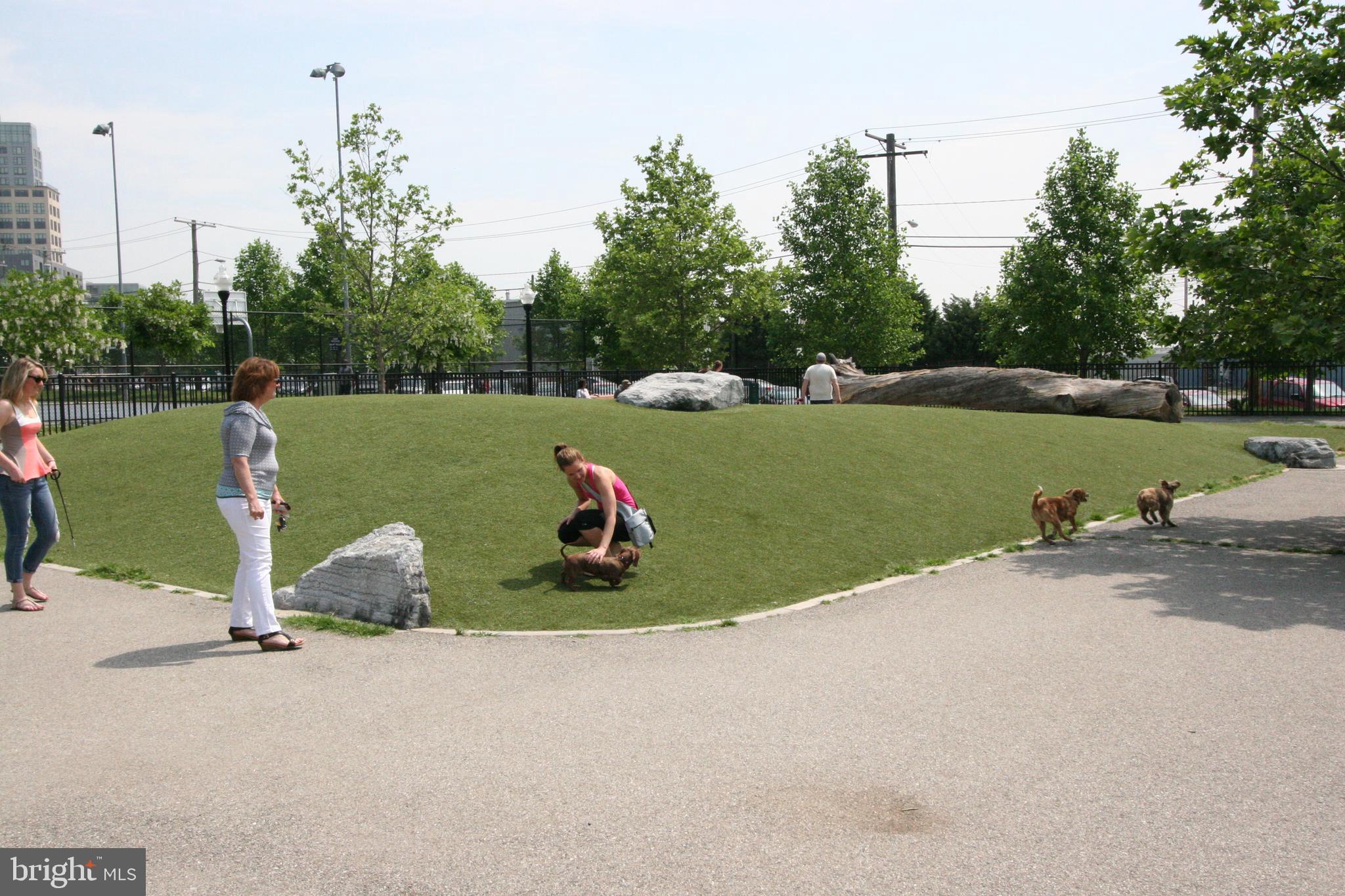 1200 Steuart Street, Unit 720 Baltimore, MD 21230 - Photo 72 of 79 Dog Park in Latrobe Park