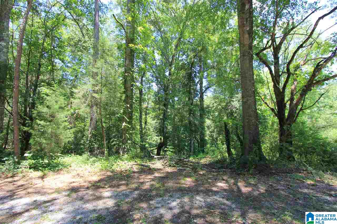 4363 Old Sulphur Springs Road Wellington, AL 36279 - Photo 26 of 37