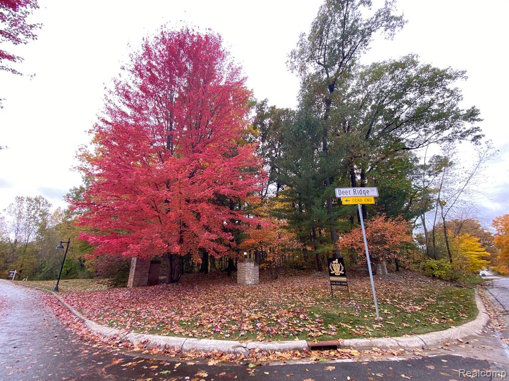 Lot 21 Deer Ridge Trail Howell, MI 48843 - Photo 5 of 17