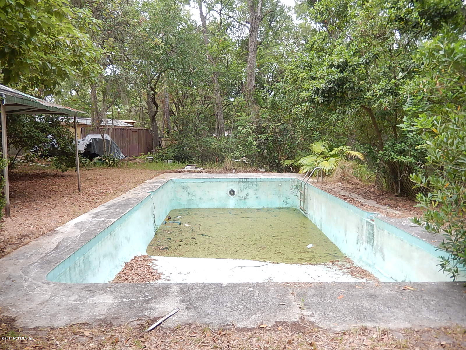 3272 Peoria Road Orange Park, FL 32065 - Photo 35 of 36 rear pool