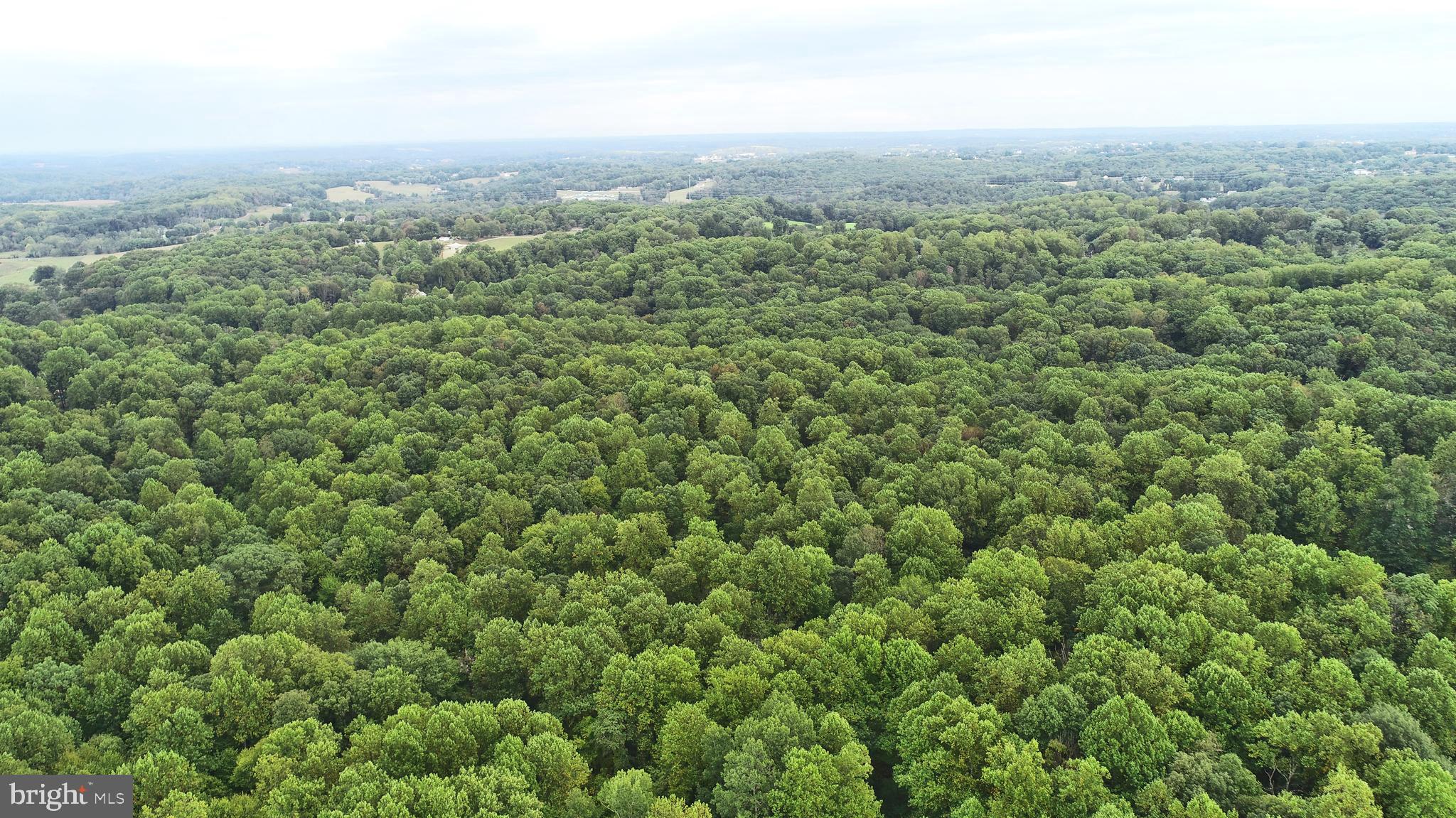 0 Sharon Acres Road Forest Hill, MD 21050 - Photo 16 of 16 Gallery Image 16