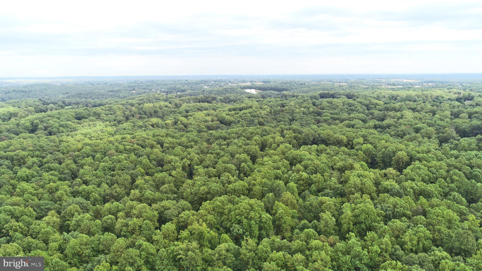 0 Sharon Acres Road Forest Hill, MD 21050 - Photo 10 of 16 Gallery Image 10