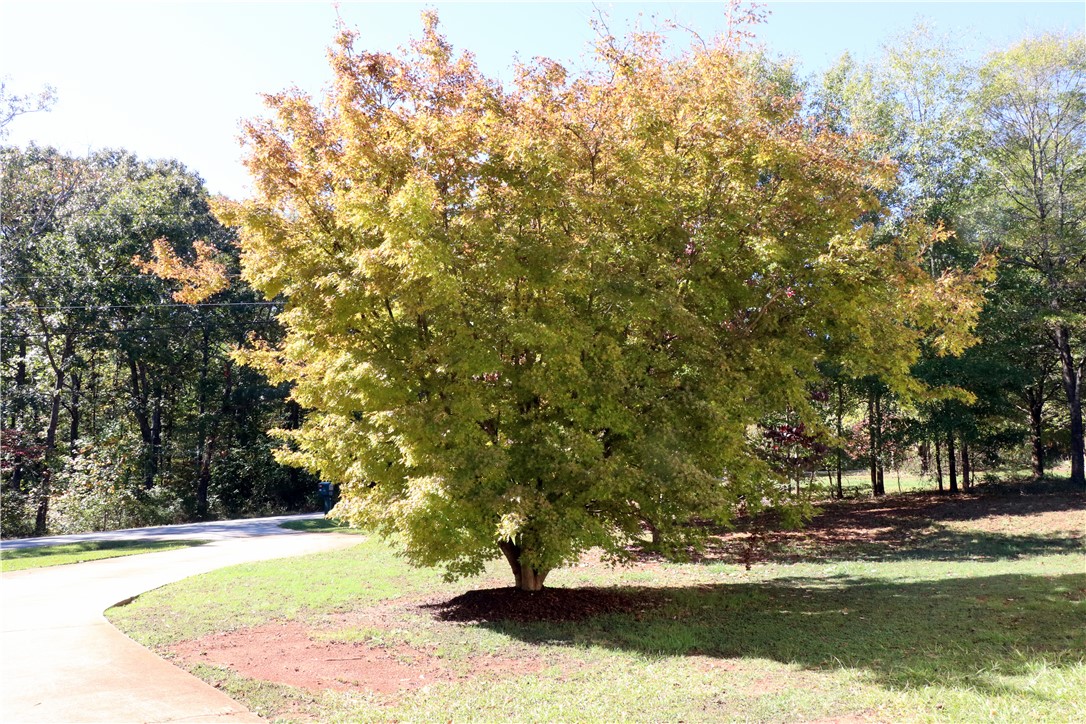 213 Jolly Acres Anderson, SC 29621 - Photo 49 of 49 Gallery Image 49