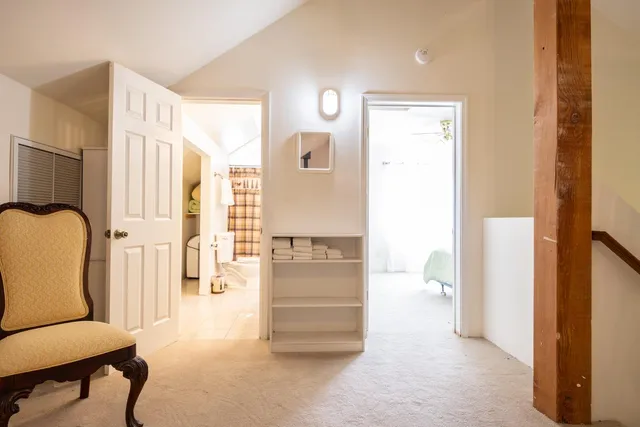 a view of a tree in a garden