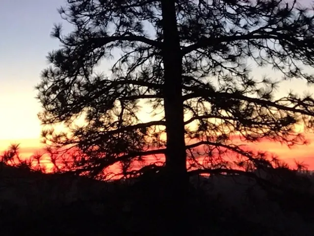 $1,980,800 | 7501 Yosemite Park Way, Yosemite West, CA 95389