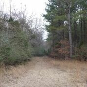 0 Mt Leopard Road, Unit ACRES Flora, MS 39071 - Photo 3 of 12 Photo 3