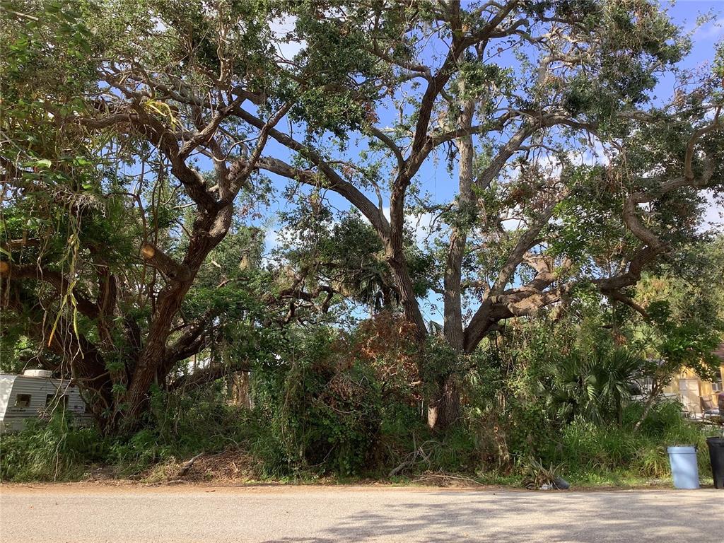Avalon Road Venice, FL 34293 - Photo 1 of 1 a view of a yard with plants and trees