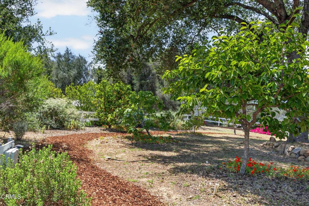 98 Howard Avenue Oak View, CA 93022 - Photo 48 of 72