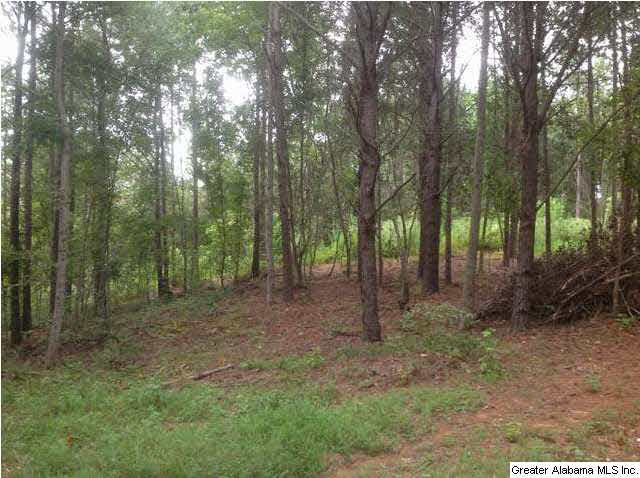 1900 Pepper Road, Unit 55 AC Ashland, AL 36251 - Photo 11 of 20