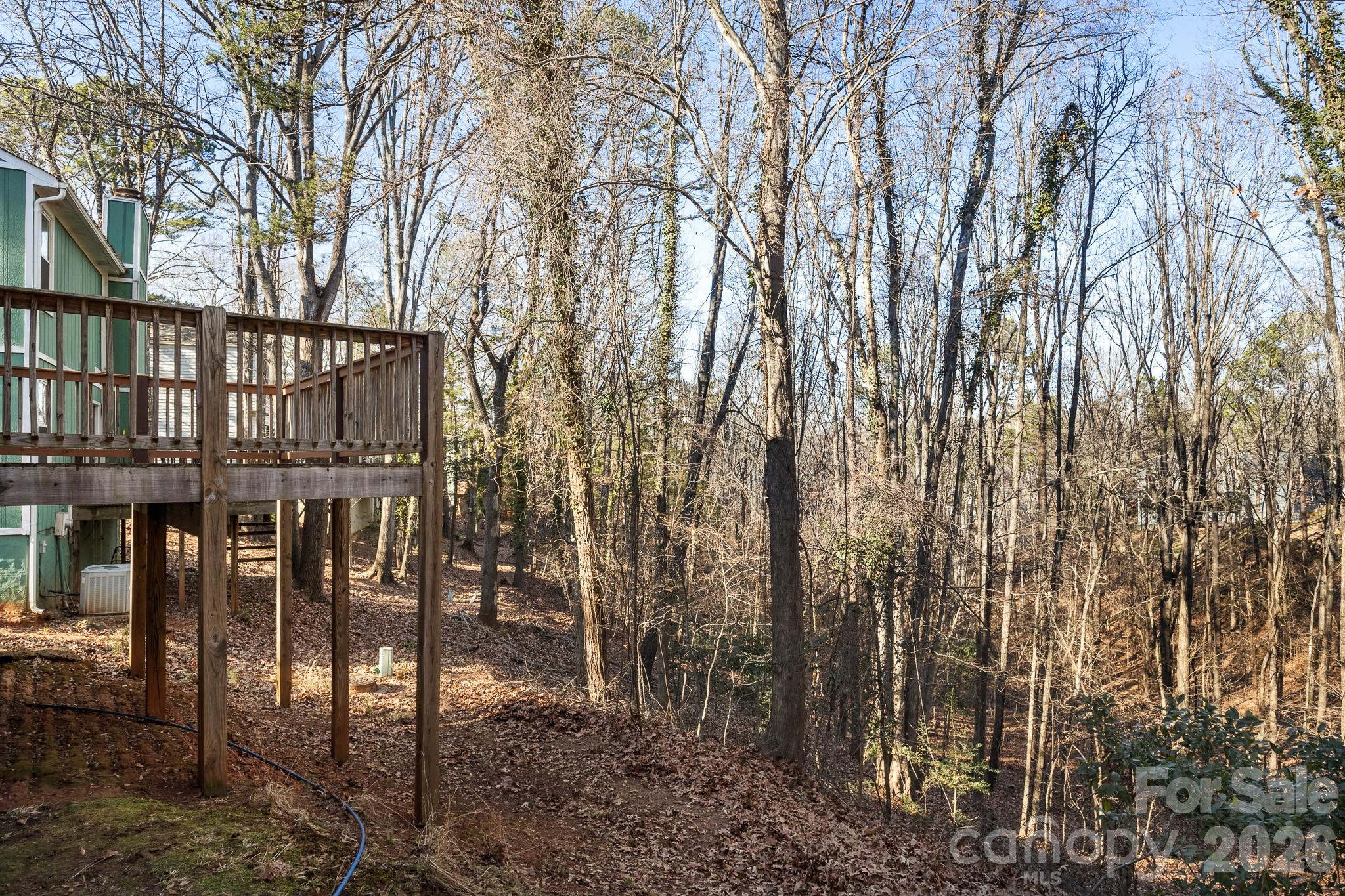 27077 Catamaran Drive Tega Cay, SC 29708 - Photo 28 of 28 a view of a house with backyard and trees