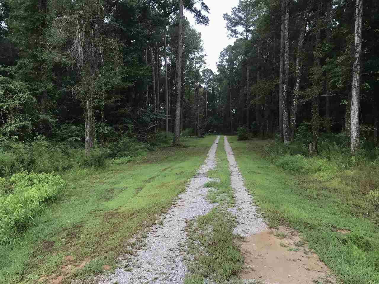4445 Pleasant Ridge Road Hickory, MS 39332 - Photo 34 of 36 Photo 34