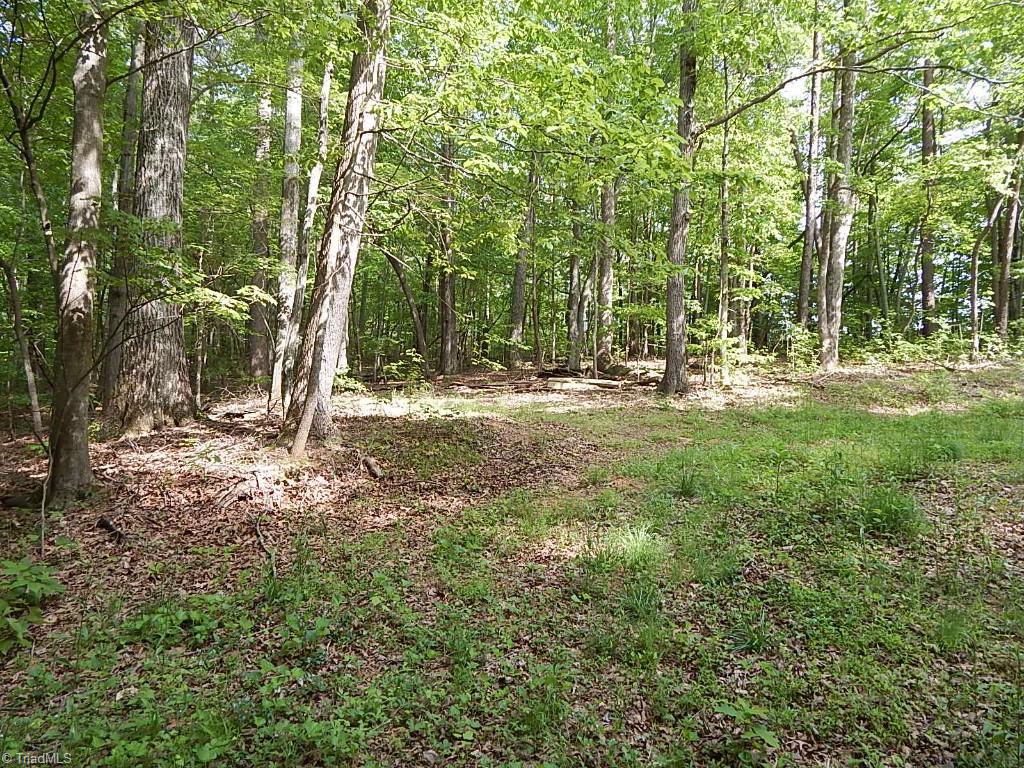 359 Hilton Road Stokesdale, NC 27357 - Photo 28 of 30 Acreage
