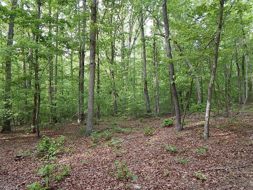 359 Hilton Road Stokesdale, NC 27357 - Photo 29 of 30 Acreage
