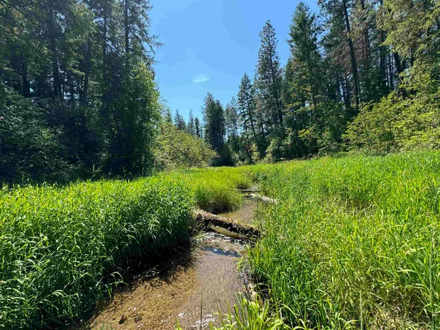 $75,000 | 340 North Beck Lane, Unit LOT #9, Springdale, WA 99173