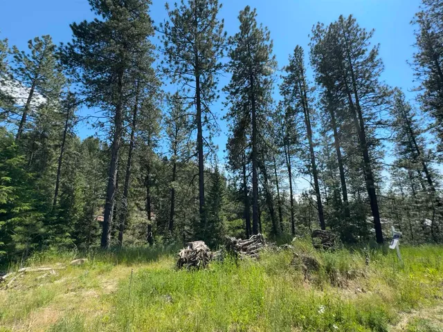 $75,000 | 340 North Beck Lane, Unit LOT #9, Springdale, WA 99173