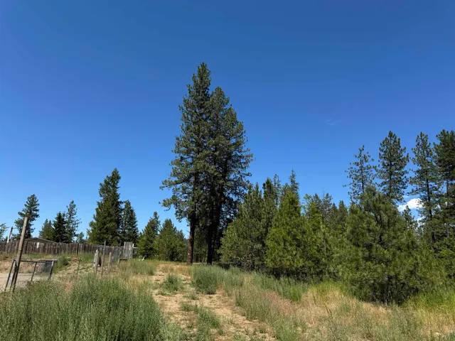 $75,000 | 340 North Beck Lane, Unit LOT #9, Springdale, WA 99173