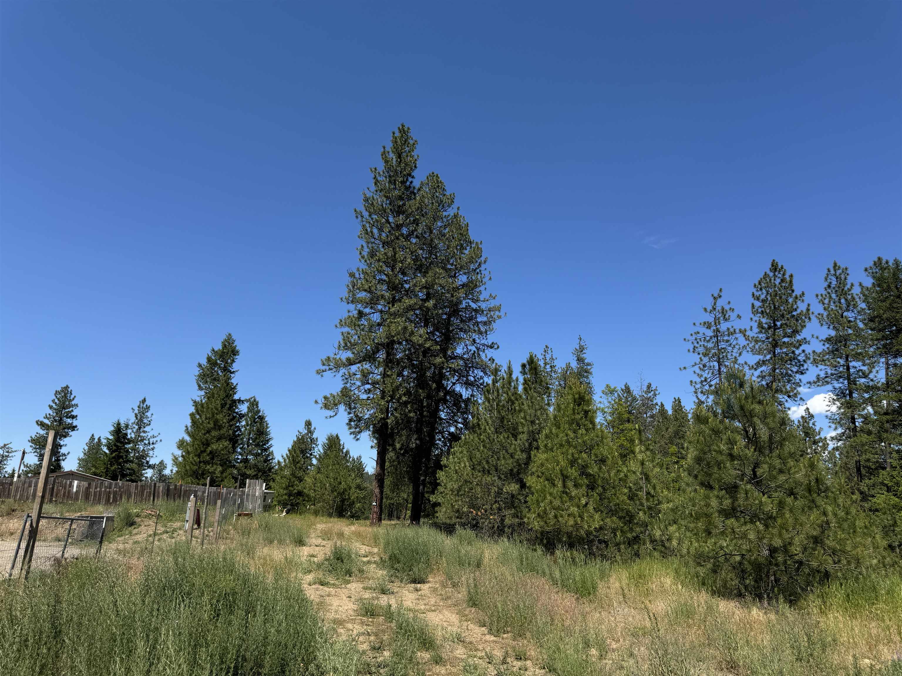 340 North Beck Lane, Unit LOT #9 Springdale, WA 99173 - Photo 3 of 12