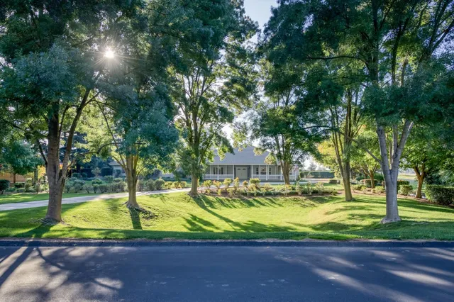 a view of swimming pool with lawn chairs and large trees