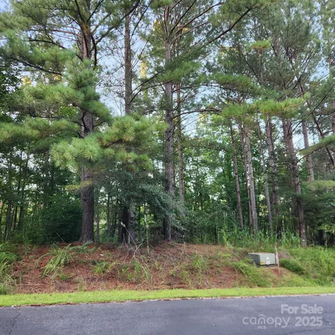 a view of a backyard with trees