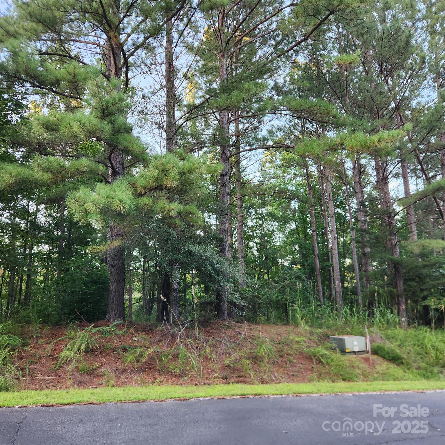 115 Scenic Ridge Drive Mooresboro, NC 28114 - Photo 4 of 9 a view of a backyard with trees