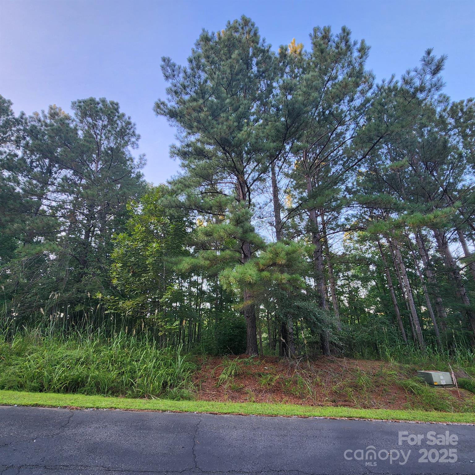 115 Scenic Ridge Drive Mooresboro, NC 28114 - Photo 5 of 9 a view of swimming pool with a yard and large trees