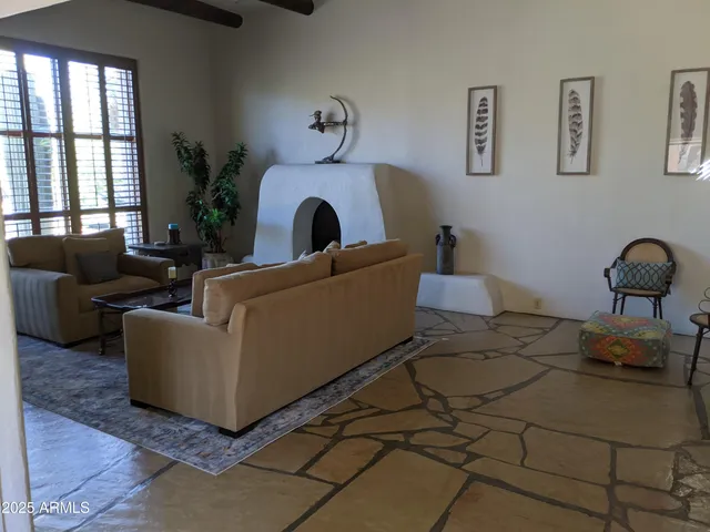 a view of a patio with couches and a potted plant on a table