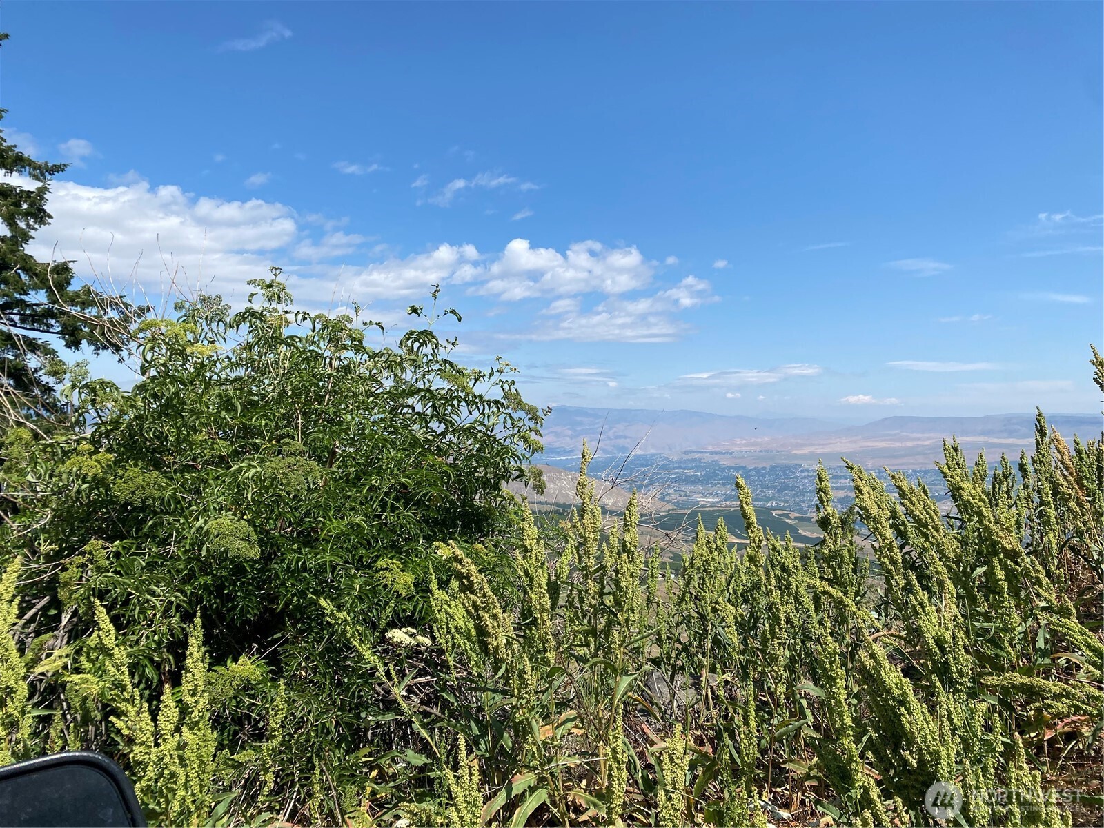 0 Big Springs Ranch Road Wenatchee, WA 98801 - Photo 21 of 26 view of a bunch of trees