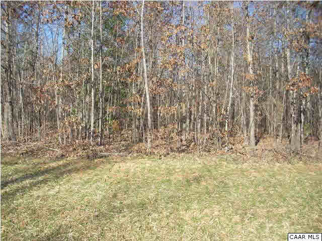16 Jacoby Road Louisa, VA 23093 - Photo 1 of 1 a view of small yard