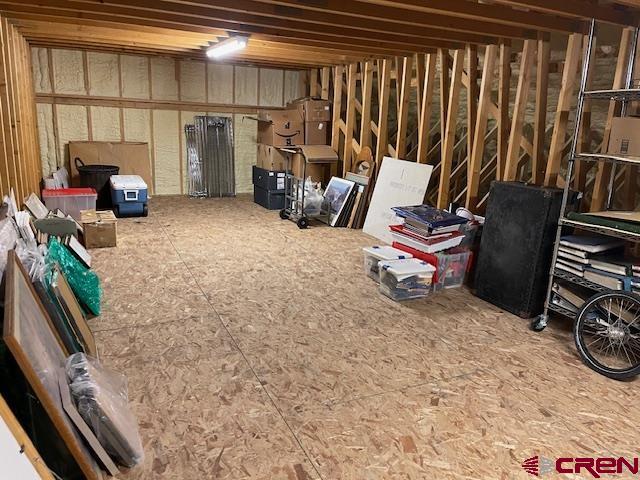 157 Spring Meadow Trail Gunnison, CO 81230 - Photo 41 of 43 Plenty of space for additional storage. Access is through the garage.